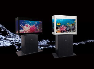 訂做魚缸可以根據個人需求和空間定制合適的魚缸嗎？：鹽城樂友水族科技發展有限公司訂做魚缸可以根據個人需求和空間定制合適的魚缸