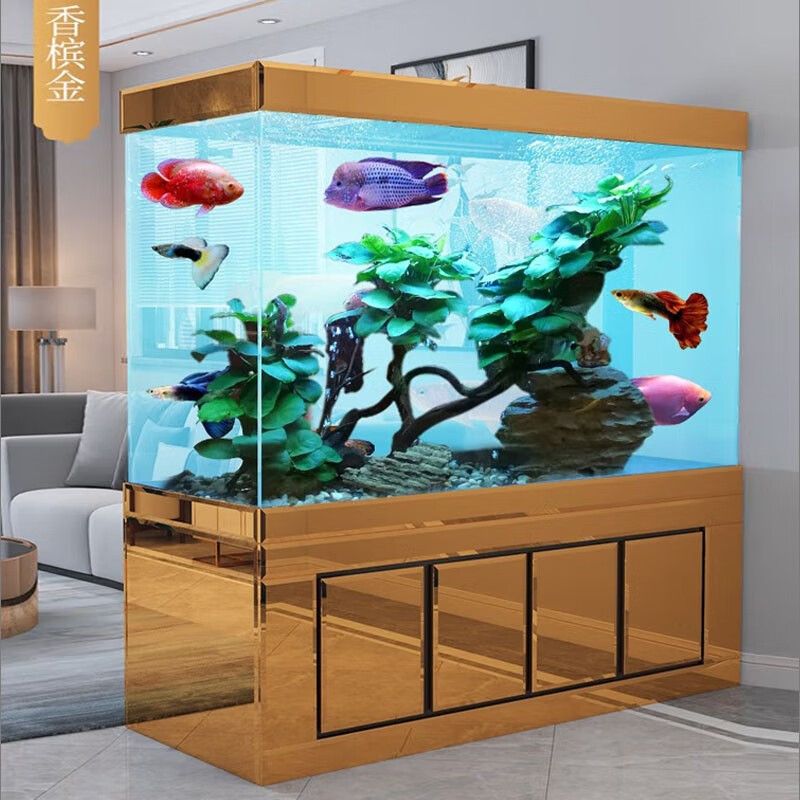 訂做魚缸可以根據個人需求和空間定制合適的魚缸嗎？：鹽城樂友水族科技發展有限公司訂做魚缸可以根據個人需求和空間定制合適的魚缸