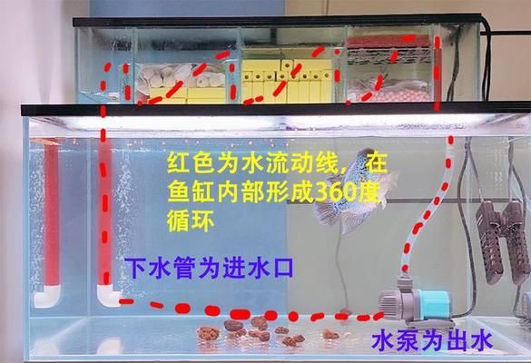 魚缸出水設計:魚缸出水口設計 魚缸百科 第1張 魚缸出水設計:魚缸出水口設計 魚缸出水設計:魚缸出水口設計 魚缸百科 第1張