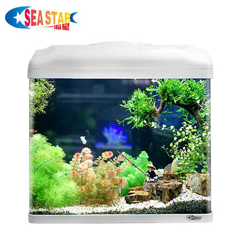 海星魚缸設計原理生態模擬水族箱設計原理生態模擬水族箱設計：海星魚缸怎么選？ 海星魚缸設計原理生態模擬水族箱設計原理生態模擬水族箱設計：海星魚缸怎么選？ 魚缸百科 第1張