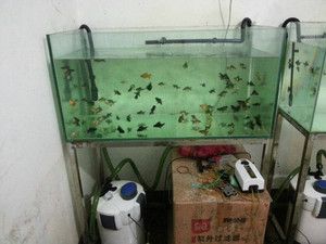 森森魚缸最新款安裝視頻：森森魚缸最新款安裝視頻詳情