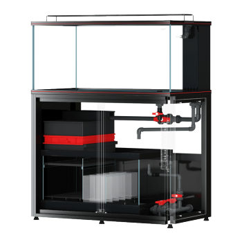 給魚缸換水里面要放什么東西嗎（魚缸換水后如何調(diào)節(jié)水溫）