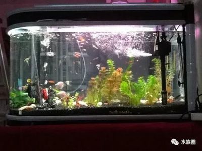 新魚缸開缸前如何準備：新魚缸開缸前準備工作
