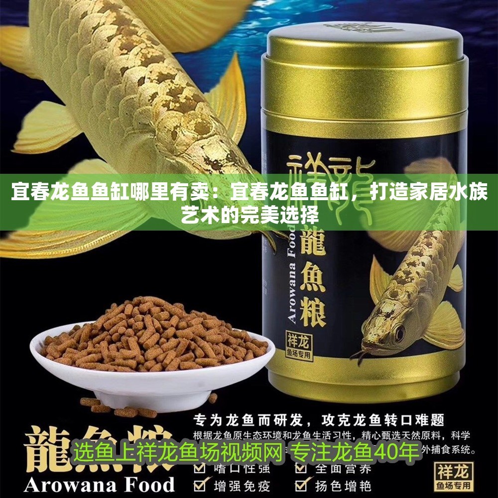 宜春龍魚魚缸哪里有賣：宜春龍魚魚缸，打造家居水族藝術的完美選擇