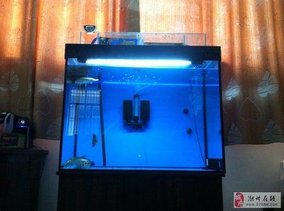 魚缸過濾系統的選擇：森森魚缸過濾桶過濾系統的選擇指南了解魚缸過濾系統的優缺點