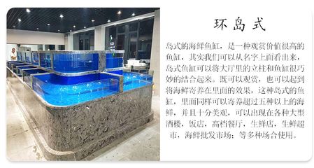 戶外玻璃魚缸制作（制作一個戶外玻璃魚缸需要一些材料和步驟）