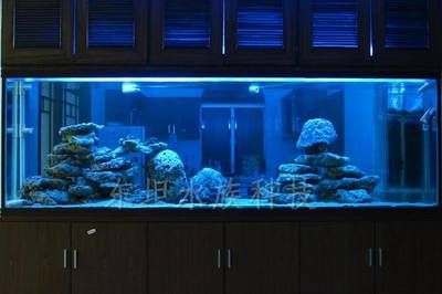 廣州定做大型魚缸的價格范圍和實例：廣州定做大型魚缸價格因多種因素而異