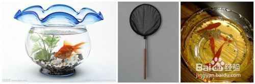 威海魚缸清潔：威海魚缸清潔方法
