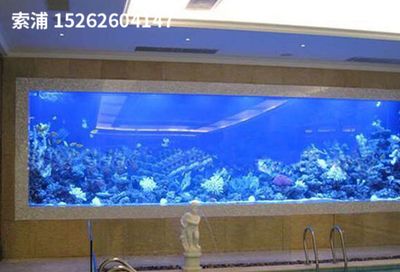 索浦魚缸：索浦魚缸是一種創(chuàng)新設計的魚缸旨在提高觀賞性和實用性和實用性