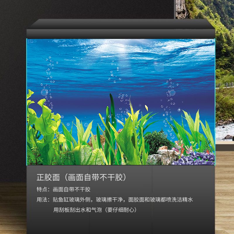 魚缸背景貼紙圖案推薦：魚缸背景貼紙圖案的選擇