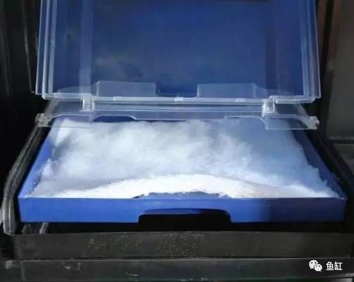 畫法幾何魚缸如何只開過濾不開燈：畫法幾何智能兩棲生態底濾缸