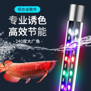 養龍魚燈放在什么位置：養龍魚時燈的最佳放置位置是與水面平行，避免掉眼的情況