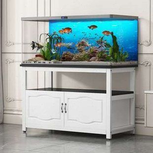 魚缸品牌推薦家用排行榜（2024年被推薦的家用魚缸品牌）