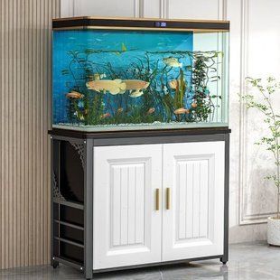 魚缸品牌推薦家用排行榜（2024年被推薦的家用魚缸品牌）