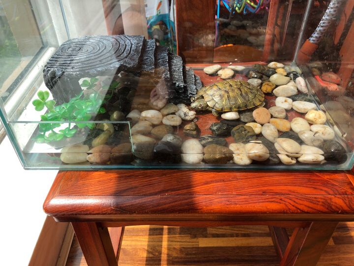 魚缸評價（關于魚缸的一些評價信息）