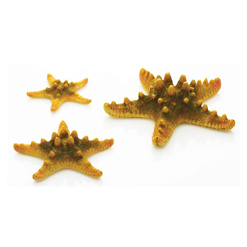 海星魚缸的優勢和劣勢：樂事海星魚缸與其他品牌對比分析樂事海星魚缸與其他品牌對比