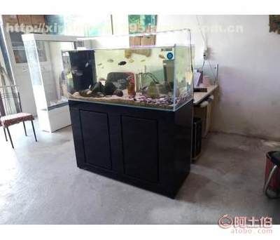 哪個魚缸牌子好一點（如何選擇魚缸品牌）