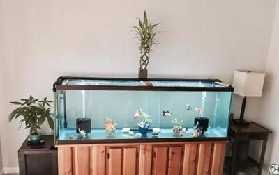 魚缸換新水需要加鹽嗎為什么（魚缸換新水需要加鹽嗎）