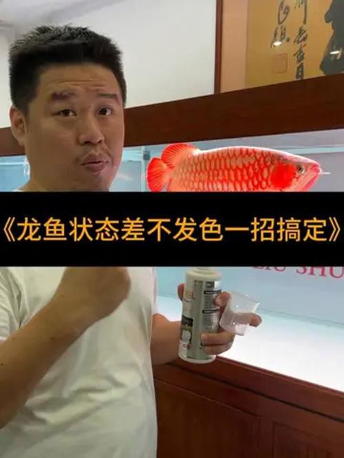 練手龍魚會上色嗎圖片