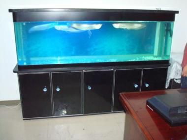 湖北魚缸廠家排名前十名（湖北魚缸產業發展歷程）