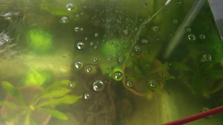 連山區興工街大趙<strong><mark>水族器材</mark></strong>店（連山區興工街大趙<strong><mark>水族器材</mark></strong>店電話）