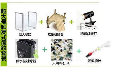 各種各樣的魚缸（五花八門的魚缸及其選擇指南魚缸及其選擇指南）