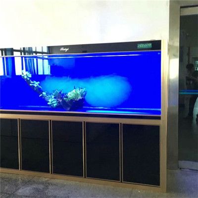 海水生態魚缸的日常維護技巧珊瑚礁生態揭秘珊瑚礁生態揭秘：海水生態魚缸的制作方法