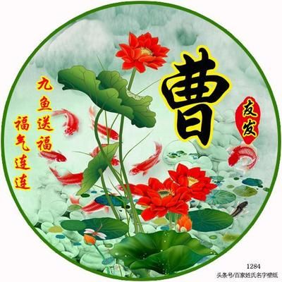 龍魚做微信頭像好嗎：龍魚為什么被稱為微信頭像？ 龍魚做微信頭像好嗎：龍魚為什么被稱為微信頭像？ 龍魚百科 第2張