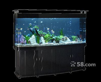 鳳崗魚缸銷售的商家信息：鳳崗地區提供魚缸銷售的商家信息：東莞市橋頭海樂水族館