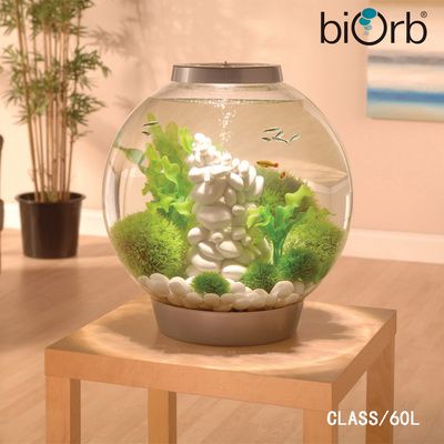 海水魚缸選擇哪個品牌好：水族箱材質探秘