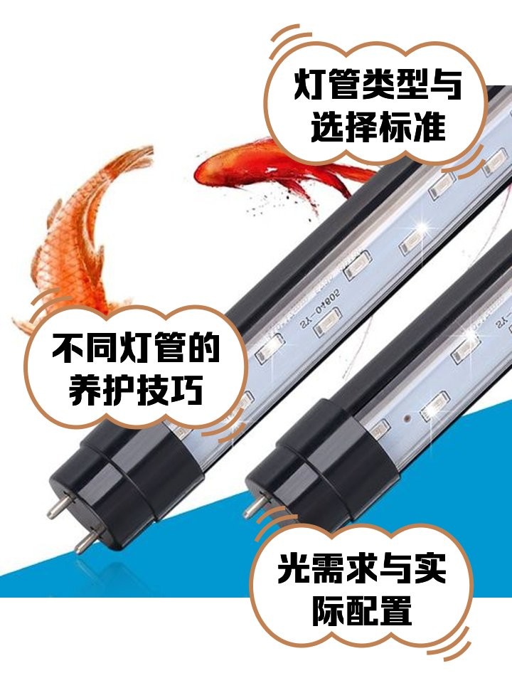 龍魚缸燈應該多久換一次？