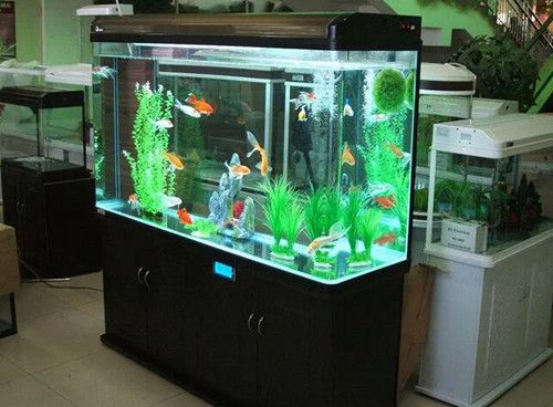魚缸水泵沒有氣泡怎么回事：魚缸水泵不出氣泡可能是由以下幾個原因導致的，飼養員需要注意