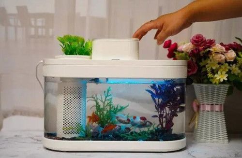 魚缸水泵沒有氣泡怎么回事：魚缸水泵不出氣泡可能是由以下幾個原因導致的，飼養員需要注意