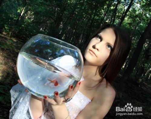 金龍魚身上長白點是什么原因:金龍魚身上長白點可能是由多種原因引起的 龍魚百科 第1張 金龍魚身上長白點是什么原因:金龍魚身上長白點可能是由多種原因引起的 金龍魚身上長白點是什么原因:金龍魚身上長白點可能是由多種原因引起的 龍魚百科 第1張