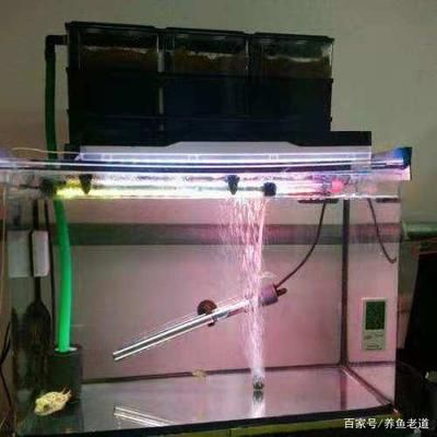 魚缸供氧機(jī)制作原理：魚缸供氧機(jī)制作原理和技術(shù)細(xì)節(jié)，魚缸供氧機(jī)的維護(hù)技巧