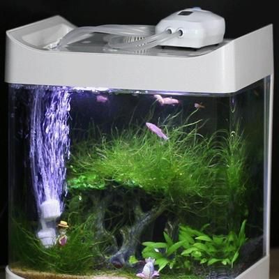 魚缸供氧機(jī)制作原理：魚缸供氧機(jī)制作原理和技術(shù)細(xì)節(jié)，魚缸供氧機(jī)的維護(hù)技巧