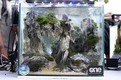 世界頂級魚缸造景視頻：世界頂級魚缸造景視頻詳情世界頂級魚缸造景視頻詳情