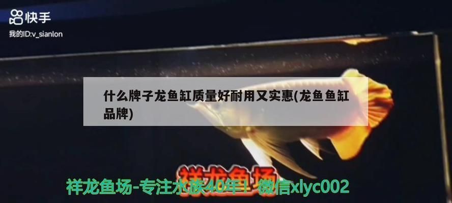 龍魚魚缸哪個(gè)品牌好：優(yōu)質(zhì)龍魚魚缸品牌