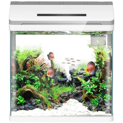 森森魚缸好么：maigoo品牌網提供了2024年十大熱門森森魚缸產品排行榜