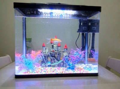 好魚缸多少錢（好魚缸多少錢一個）