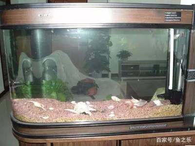 魚缸底下往上冒泡的物品是什么？：魚缸底下往上冒泡怎么辦？