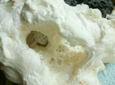 魚缸底下往上冒泡的物品是什么？：魚缸底下往上冒泡怎么辦？