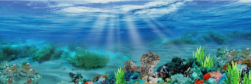 新鄉市牧野區尚水沐漁水族館（新鄉市牧野區尚水沐漁水族館電話）