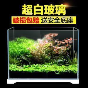 極魚魚缸的負面評價：極魚魚缸用戶反饋分析