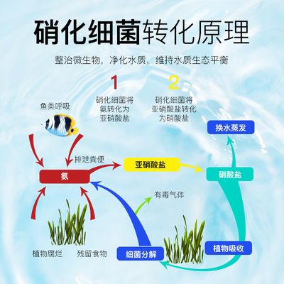 魚缸凈水劑能連續放嗎：魚缸凈水劑能否連續使用 魚缸凈水劑能連續放嗎：魚缸凈水劑能否連續使用 魚缸百科 第2張