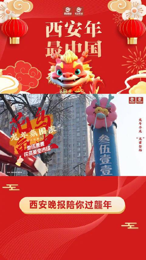 西安龍魚市場怎么樣