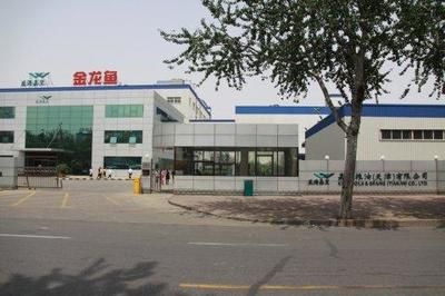 南寧金龍魚：南寧金龍魚市場價格走勢