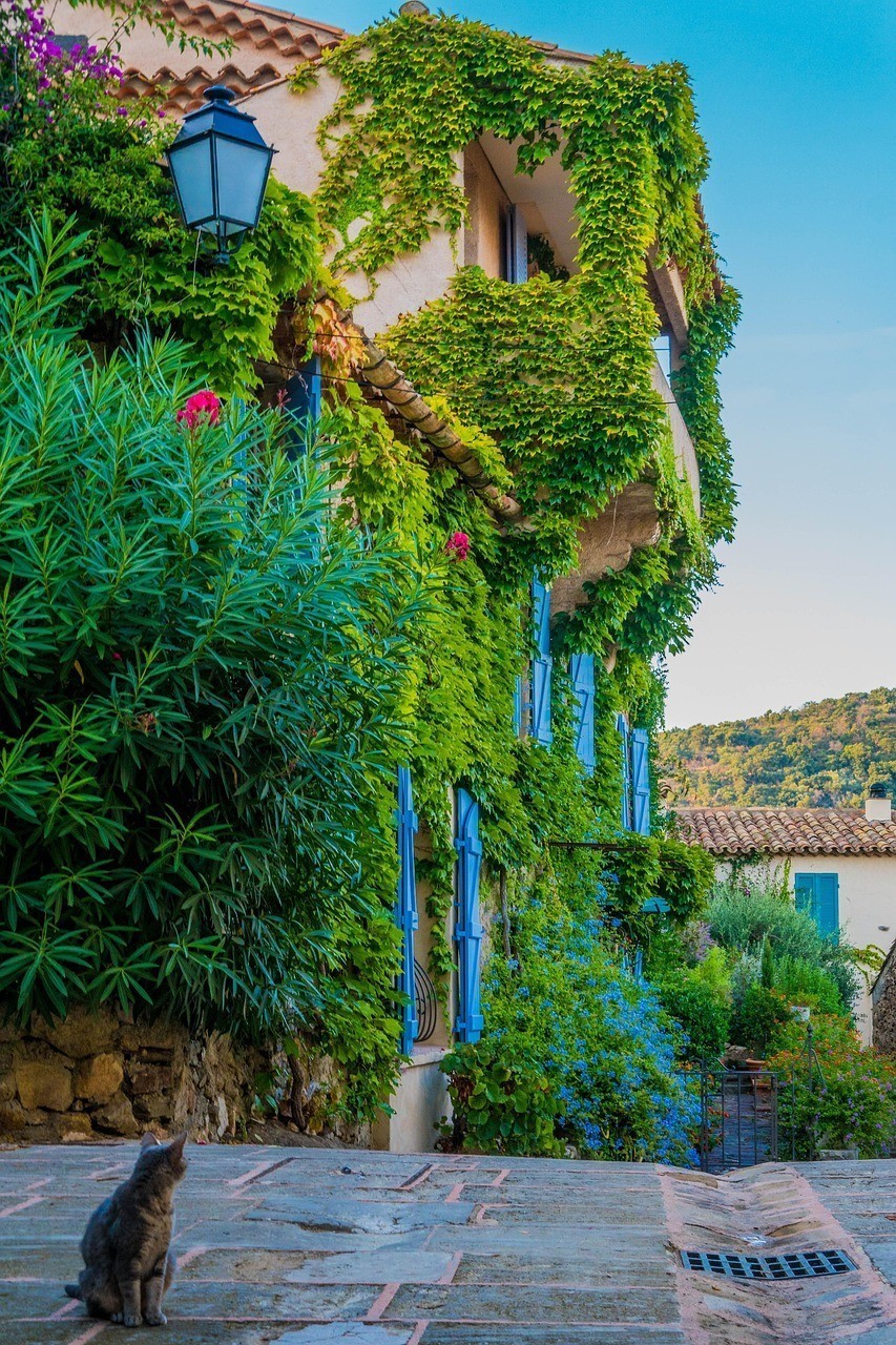 廣州市芳村花地繽紛水族館（廣州市芳村花地繽紛水族館電話） 廣州市芳村花地繽紛水族館（廣州市芳村花地繽紛水族館電話） 全國水族館企業(yè)名錄 第2張