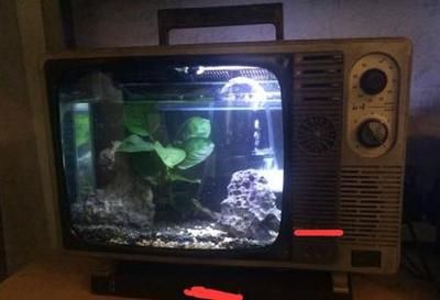 電視改魚缸視頻（如何將舊電視機(jī)改造成魚缸）