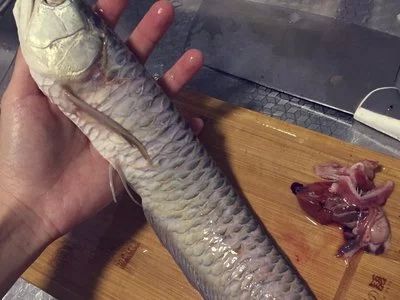 龍魚的做法及配料：幾種常見的龍魚做法及其配料，龍魚的做法及其配料